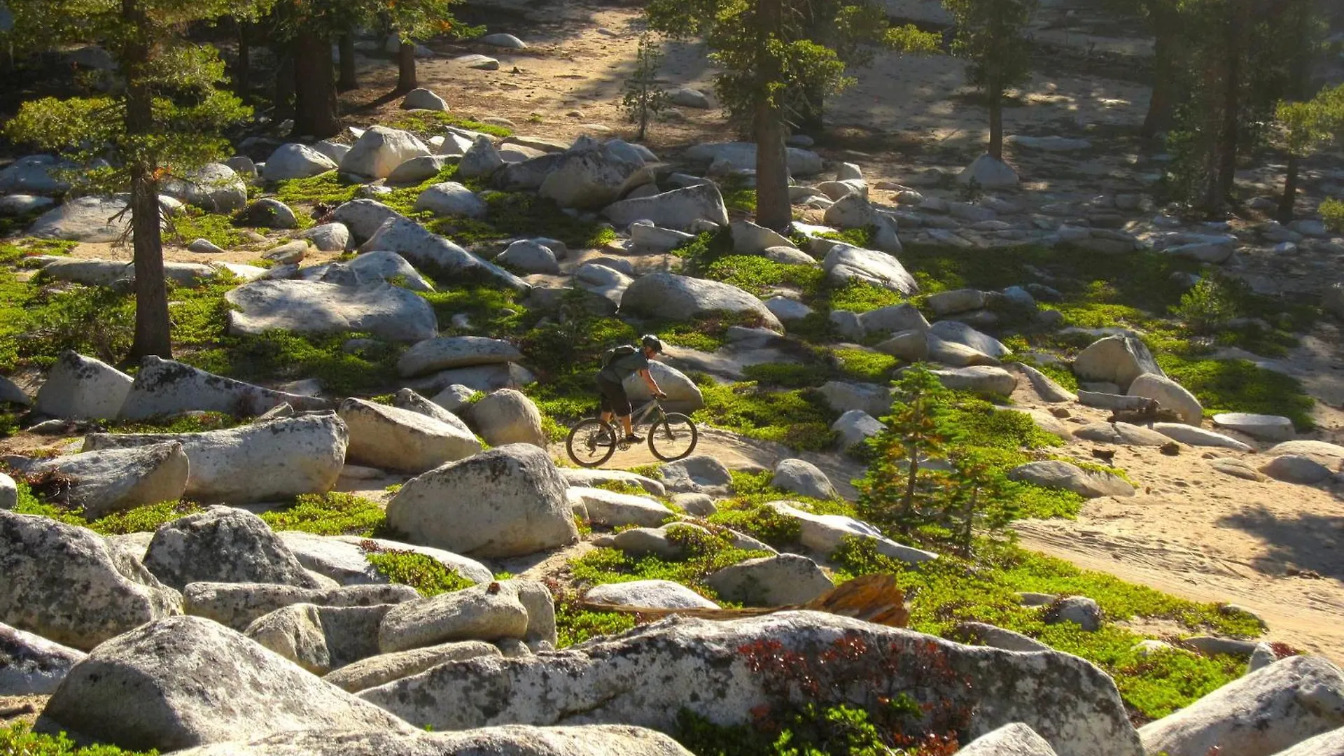 Βίλα Lakeland Village 620 - Beachfront Bliss South Lake Tahoe